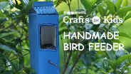 DIY Bird Feeder