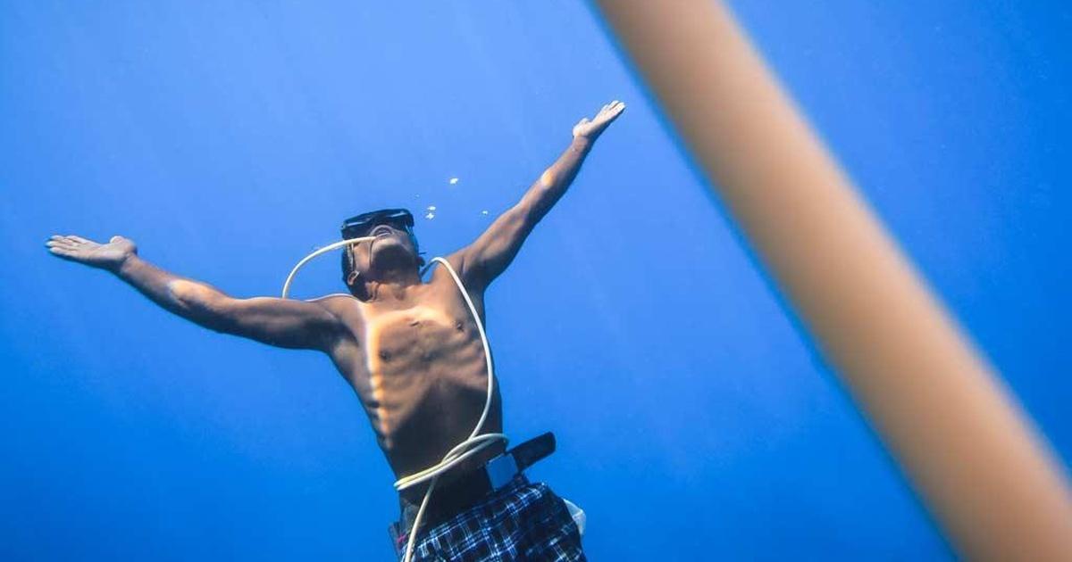 Doc World | Walking Under Water | Trailer | Season 1 | Episode 11 | PBS