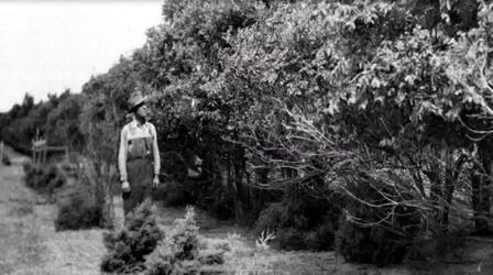 Video thumbnail: The Dust Bowl New Deal Programs