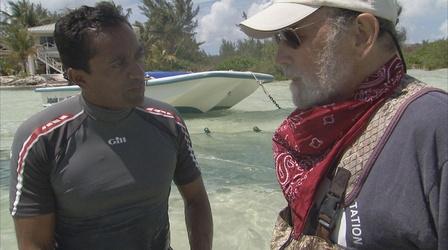 Video thumbnail: EARTH A New Wild An Interview with Renowned Shark Scientist Doc Gruber