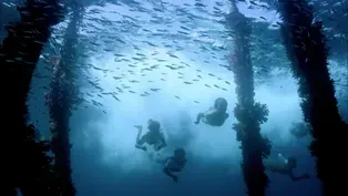 Episode 2 Preview | Wonders of Water