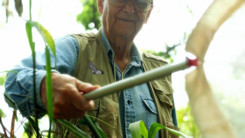 E.O. Wilson - Of Ants And Men Image