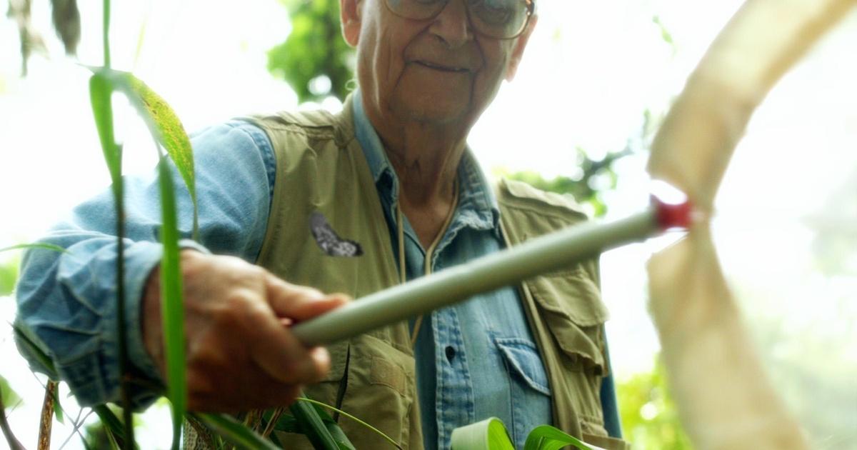E. O. Wilson - of ants and men | preview | episode 1