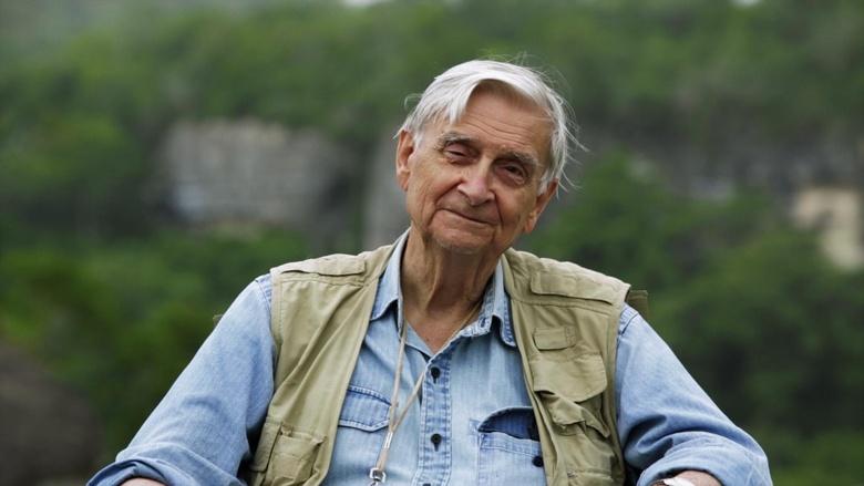 E.O. Wilson - Of Ants And Men Image