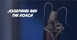 "Josephine and the Roach"