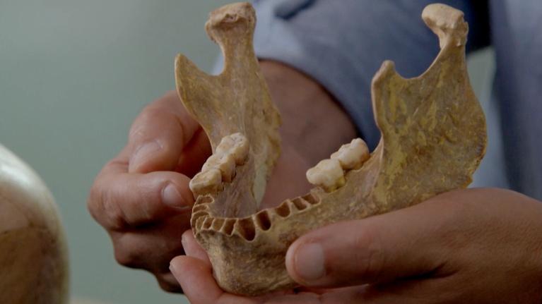 First Peoples: A Human Hybrid?