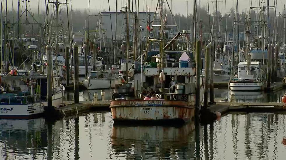Food Rebels: Steve Mintz & Karl Nish, American Tuna image