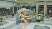 Grow Food in the Galleria Mall