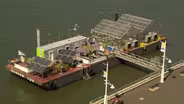 Explore A Rooftop Living Classroom