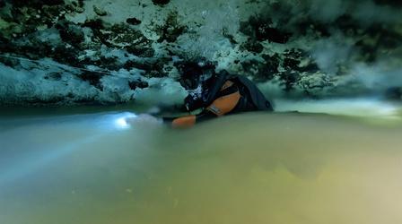 Diving Through a Halocline