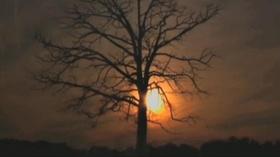 Video thumbnail: Forgiveness: A Time to Love and a Time to Hate Helen Whitney on Forgiveness