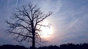 Video thumbnail: Forgiveness: A Time to Love and a Time to Hate Atonement