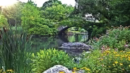 Frederick Law Olmsted - Preview