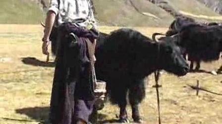 Video thumbnail: FRONTLINE/World Tibet: Eye Camp