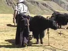 Tibet: Eye Camp