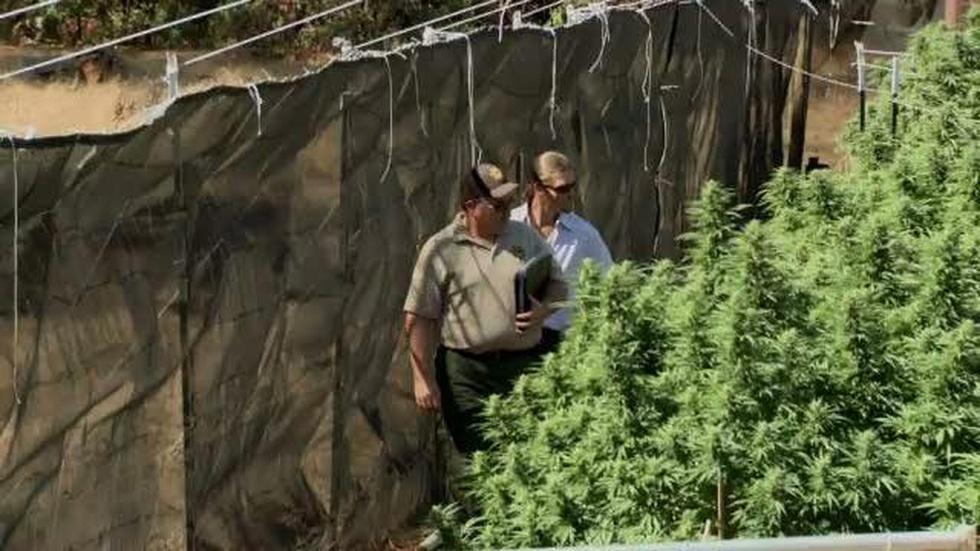 S29 Ep17: One Sheriff's Radical Experiment image