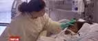 Facing Death: Excerpt One: Mount Sinai ICU