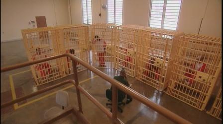 The New Asylums