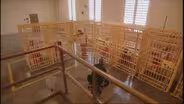 The New Asylums