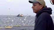 "The Fish on My Plate" - Preview
