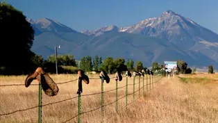 Big Sky, Big Money, an investigation with Marketplace