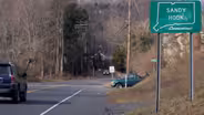 Newtown Divided
