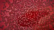 "Hunting the Nightmare Bacteria" — Preview
