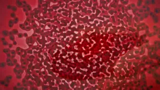 "Hunting the Nightmare Bacteria" — Preview