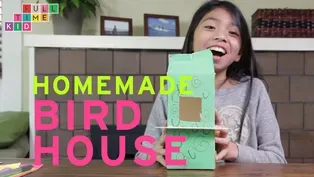 Homemade Bird House