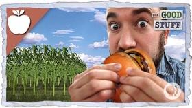 Video thumbnail: The Good Stuff Can We Make Meat Out Of Plants?