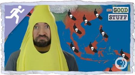 Video thumbnail: The Good Stuff Will Bananas be Wiped Out By Disease?