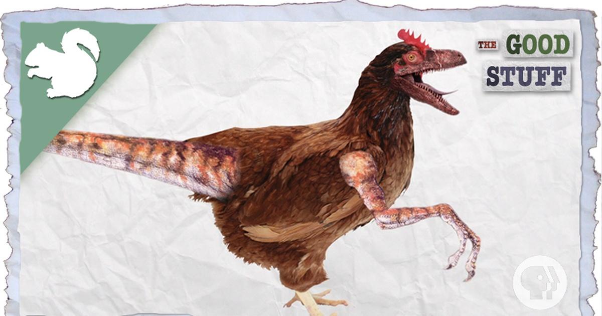 Researchers Say They're Getting Closer to Creating a Dino-Chicken