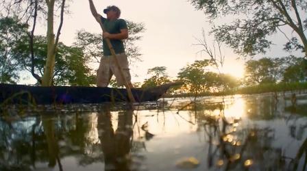 Video thumbnail: Gorongosa Park Losing Track of Time in the Drowned Forest
