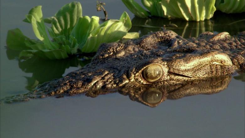 Gorongosa Park Image