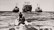 A Dangerous Whale Rescue Mission by Greenpeace