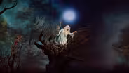 GP at the Met: Rusalka