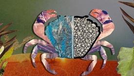 The Castrating Zombie Parasite: asset-mezzanine-16x9