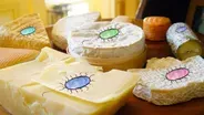 What Lives In Cheese?