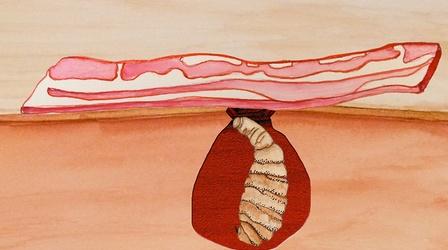 Video thumbnail: Gross Science The Strangest Use For Bacon... Ever?