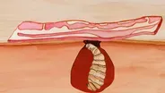 The Strangest Use For Bacon... Ever?