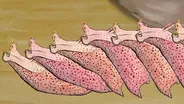 Why Neuroscientists Love Kinky Sea Slugs