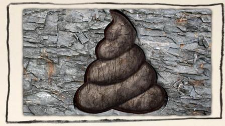 Video thumbnail: Gross Science What Can You Learn From Ancient Poop?
