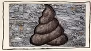 What Can You Learn From Ancient Poop?