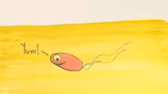 Three Ways Pee Could Change the World
