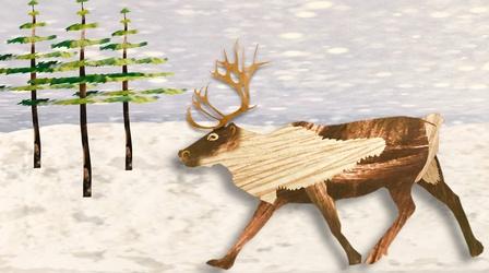 Video thumbnail: Gross Science The REAL Rudolph Has Bloody Antlers and Super Vision