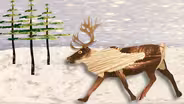 The REAL Rudolph Has Bloody Antlers and Super Vision