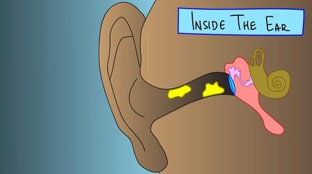 Video thumbnail: Gross Science What Your Earwax Says About You