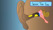 What Your Earwax Says About You