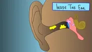 What Your Earwax Says About You