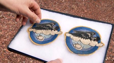 Video thumbnail: History Detectives World War II Patch: Bird of War